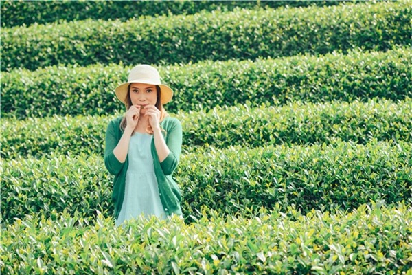 Đây là sản phẩm hiếm hoi Mỹ Tâm thực hiện ngoài trời sau MV Hãy về với nhau được phát hành cách đây hơn một năm. Chính vì thế, cô đã toàn tâm đồng hành cùng ê-kíp hơn 30 người để gởi tặng người hâm mộ món quà tinh thần giá trị. - Tin sao Viet - Tin tuc sao Viet - Scandal sao Viet - Tin tuc cua Sao - Tin cua Sao