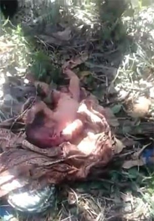 Giải cứu bé sơ sinh bị chôn sống khiến nhiều người rơi nước mắt-2