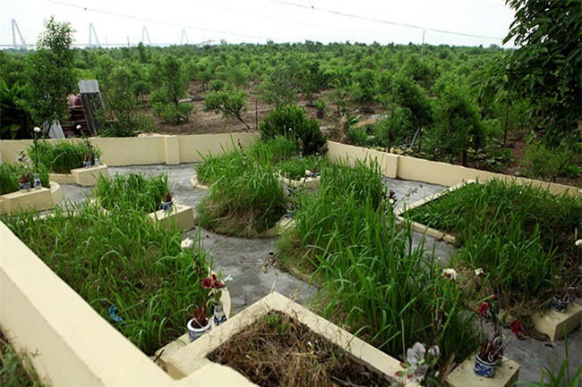 ly kỳ chuyẹn nguòi dàn ong canh miéu co troi vót duọc 600 xác chét tren song - 2