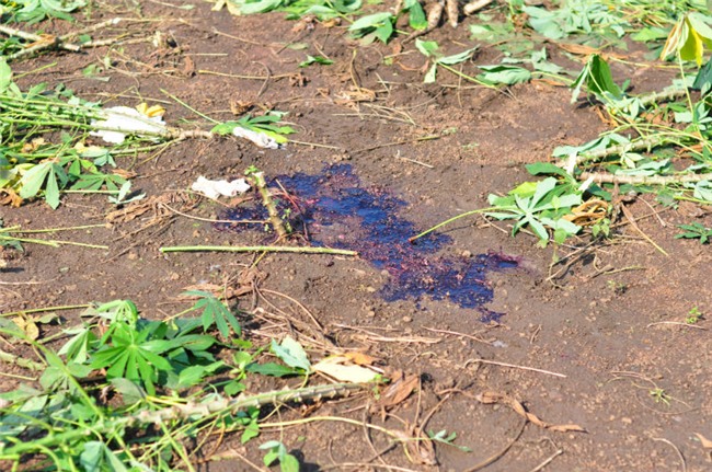 bắn chết nữ sinh, giết người, Đồng Nai