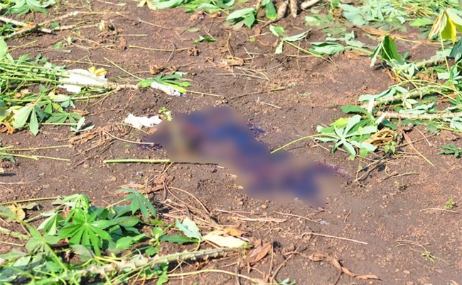 Vụ nữ sinh bị bắn chết: Chị gái không dám tin nghi phạm lại làm vậy với vợ sắp cưới