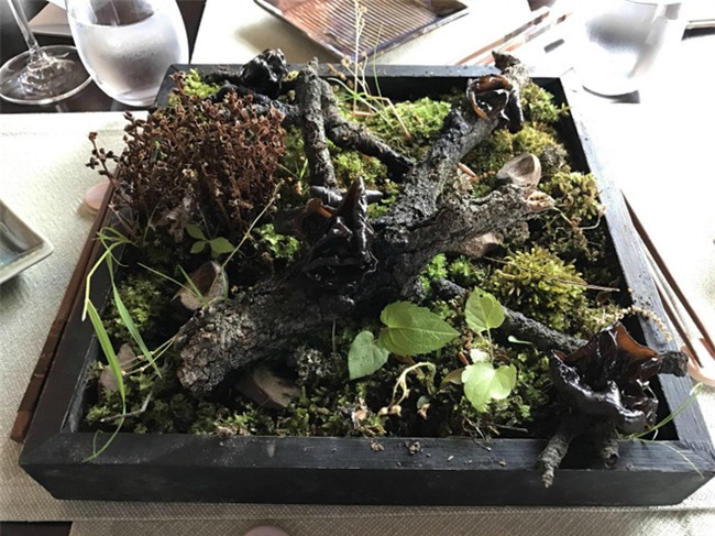 Những đĩa thức ăn độc nhất vô nhị của các nhà hàng khiến thực khách chỉ biết câm nín - Ảnh 18.