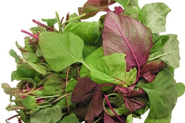 rau dại, quả dại, chanh leo, sam, tầm bóp, tía tô, rau rừng, bèo tây, nông sản Việt