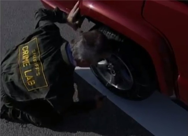 Vu mat tich bi an cua nguoi mau noi y chan dong Hollywood hinh anh 8