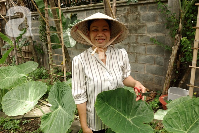 Phận bạc người phụ nữ cả đời làm osin (P1): Bị bỏ rơi từ 2 tháng tuổi, 10 tuổi đã nghỉ học đi ở đợ - Ảnh 1.