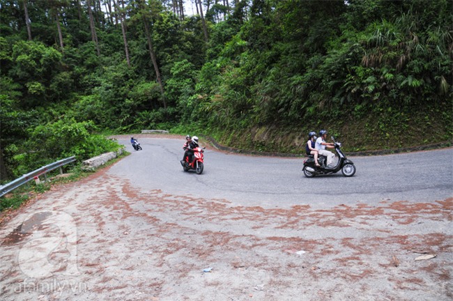 Tam Đảo và Sa Pa - 2 điểm du lịch rất hợp để trốn nóng lại siêu gần Hà Nội-12