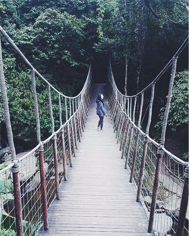 Tam Đảo và Sa Pa - 2 điểm du lịch rất hợp để trốn nóng lại siêu gần Hà Nội-15