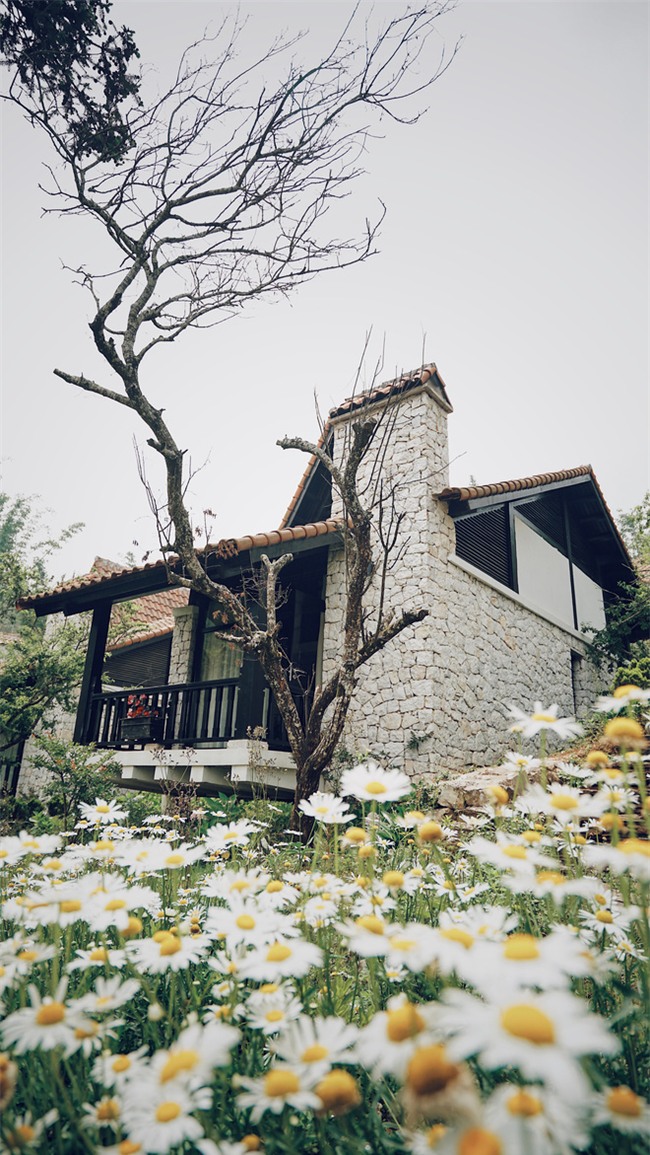 Tam Đảo và Sa Pa - 2 điểm du lịch rất hợp để trốn nóng lại siêu gần Hà Nội-3