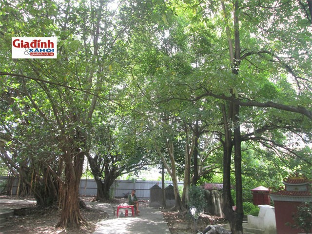 chuyen ly ky qua loi ke cua cu ong ung thu phoi van song khoe nho... cham soc nguoi chet - 2