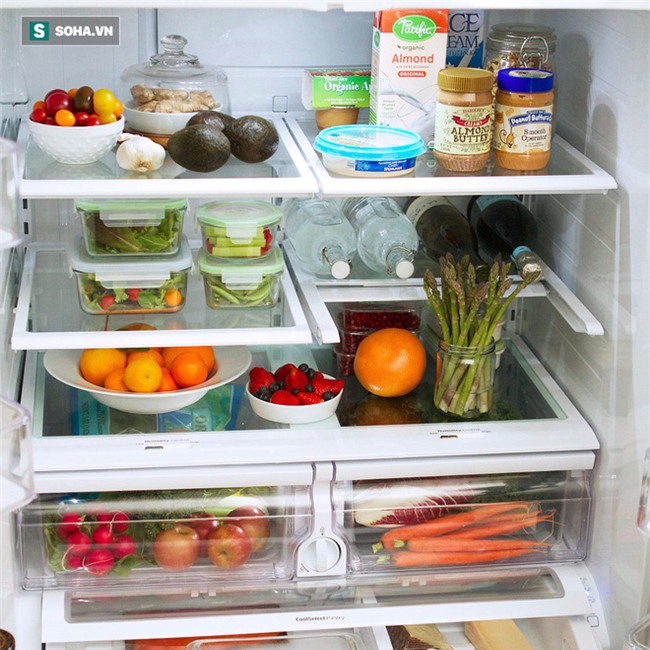 Nữ giáo sư Tiền Gia Minh: Sai lầm khiến cả nhà bị viêm dạ dày, đường ruột do tủ lạnh - Ảnh 1.