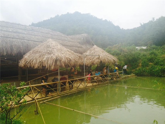 lam giau o nong thon: kiem tien cuc tu dich vu cau ca va nau an ngon hinh anh 1