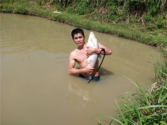 lam giau o nong thon: kiem tien cuc tu dich vu cau ca va nau an ngon hinh anh 2