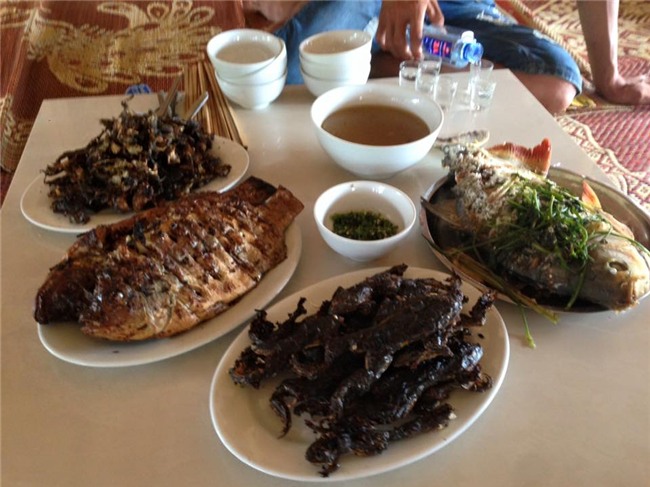 lam giau o nong thon: kiem tien cuc tu dich vu cau ca va nau an ngon hinh anh 4