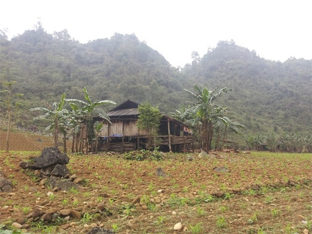 Ngôi nhà sàn của anh Trương Văn Ve cùng hai bà vợ và 21 đứa con sinh sống. Ảnh: Thảo Phượng