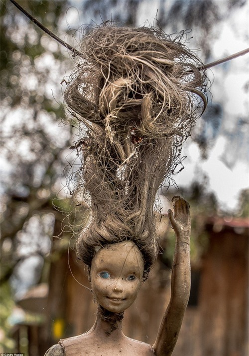 Cơn ác mộng Isla de las Munecas: Hòn đảo với hàng nghìn con búp bê kinh dị được treo lủng lẳng trên cây - Ảnh 19.