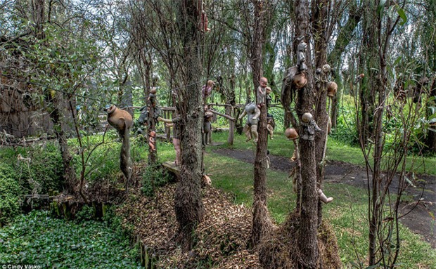 Cơn ác mộng Isla de las Munecas: Hòn đảo với hàng nghìn con búp bê kinh dị được treo lủng lẳng trên cây - Ảnh 5.