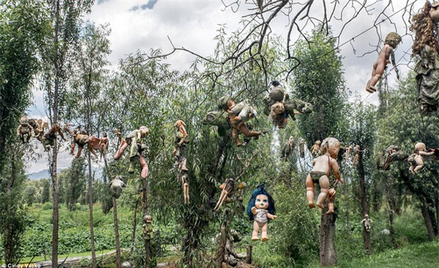 Cơn ác mộng Isla de las Munecas: Hòn đảo với hàng nghìn con búp bê kinh dị được treo lủng lẳng trên cây - Ảnh 6.