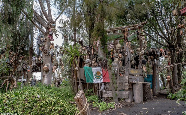 Cơn ác mộng Isla de las Munecas: Hòn đảo với hàng nghìn con búp bê kinh dị được treo lủng lẳng trên cây - Ảnh 7.