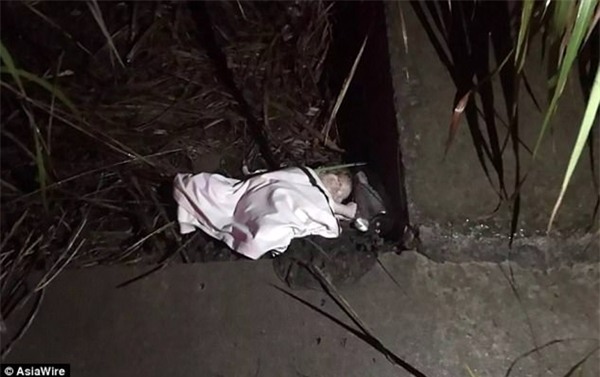 suc song ky dieu cua be gai so sinh bi me 12 tuoi bo roi trong bui cay nhieu gio lien - 1