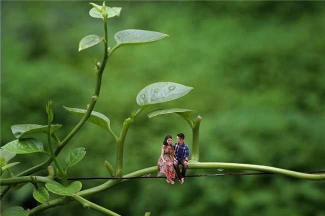 Co dau, chu re hoa thanh nhan vat ti hon trong bo anh cuoi hinh anh 3