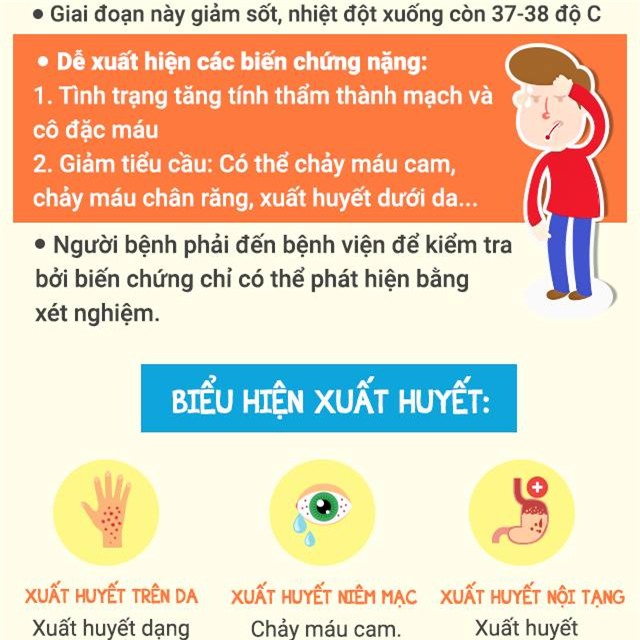 [infographic] nhung luu y quan trong nhat ve dich sot xuat huyet dang bung phat manh - 2