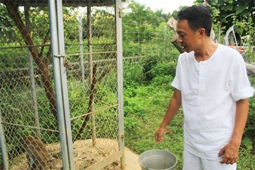 vuon rau sach muot mat trong can biet thu 2000m2 cua ca si viet hoan - 3