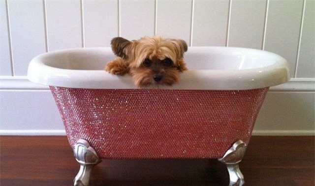 giới siêu giàu, dát vàng