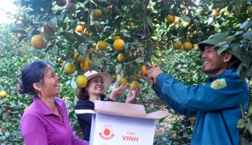 làng tỷ phú, Nghệ An, xuất khẩu lao động, làm giàu, hải sản, cam Vinh