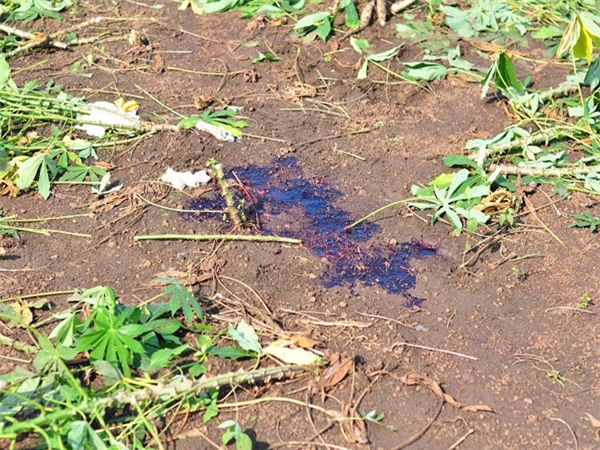 thong tin moi nhat ve vu an thanh nien ban chet nu sinh lop 11 o dong nai roi tu sat - 1