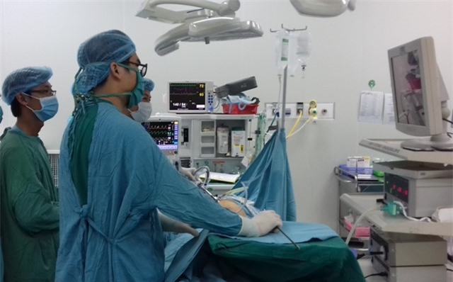 Cuu song benh nhan bi vo tinh hoan do heo tan cong hinh anh 1