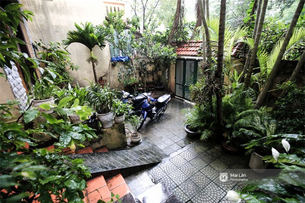 Căn nhà cổ kính, rợp bóng cây xanh của ông trùm Phan Thị - NSND Hoàng Dũng - Ảnh 2.