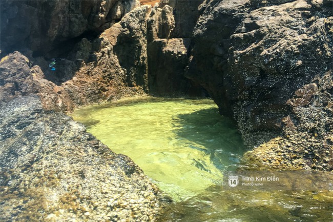 Trọn vẹn cẩm nang cho bạn khi ghé thăm Quy Nhơn: Điểm đến hot nhất mùa hè năm nay! - Ảnh 11.