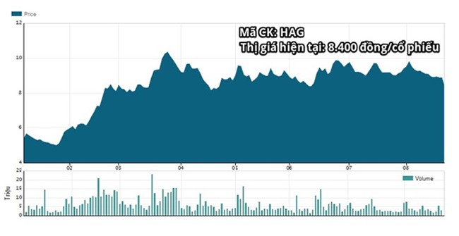 Bầu Đức, Đoàn Nguyên Đức, Hoàng Anh Gia Lai