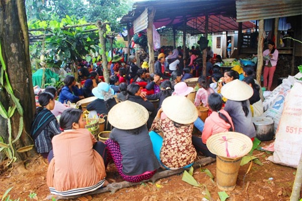 gia lai: trong nua thang, mot gia dinh 3 nguoi chet khong ro ly do hinh anh 1