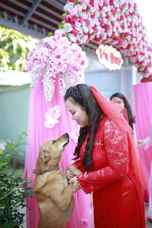 Hành động của chú chó trong ngày cưới cô chủ khiến bao người xúc động - Ảnh 5.