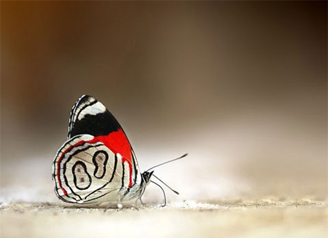 tu vi thang 7 am: lam sao de vuot qua thang co hon yen lanh, it gap xui xeo? - 3