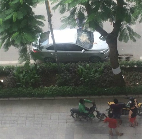 Đỗ xe dưới sân chung cư, tài xế nhận được món quà bất ngờ từ trên trời rơi xuống - Ảnh 1.