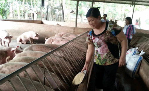 nguoi phu nu ky la: tu 2 con lon, gio thanh dai ty phu