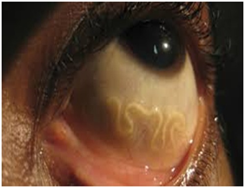 6 sự thật khủng khiếp về các loại tiết canh Made in nhà làm” - Ảnh 5.