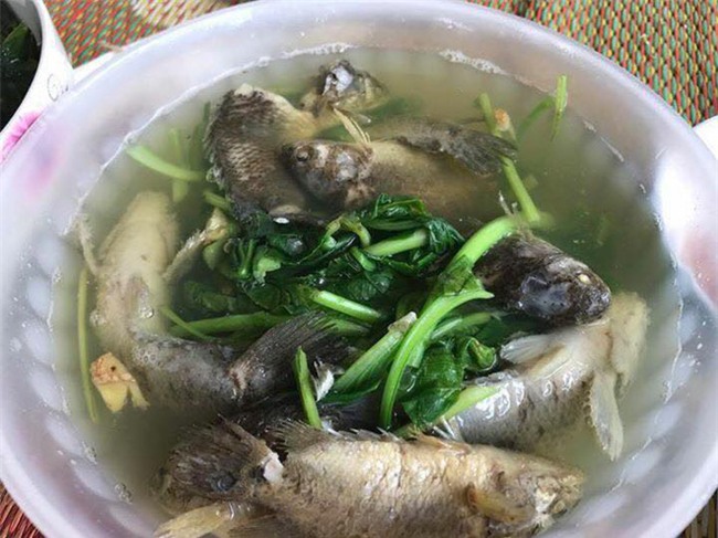 Chồng thèm ăn canh cá rô nấu rau cải, vợ tức tốc ra chợ mua về nấu và cái kết bi ai chưa từng có - Ảnh 2.