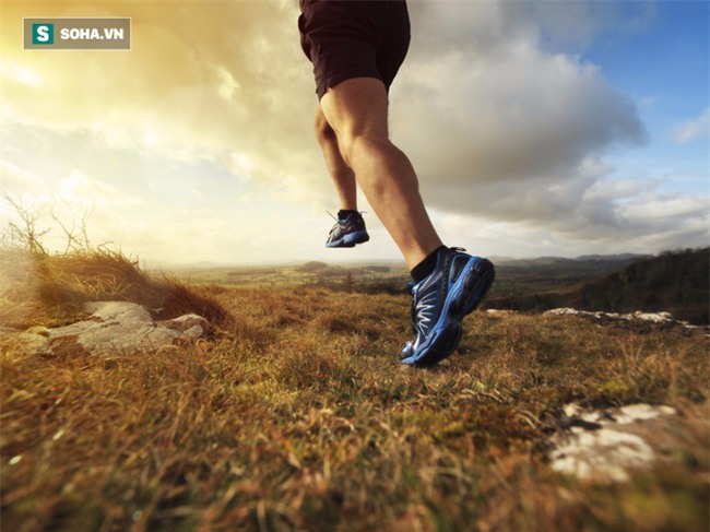 TS Mỹ ca ngợi quả này chứa chất chống ung thư mạnh: Vị thuốc rẻ tiền có nhiều ở Việt Nam - Ảnh 5.