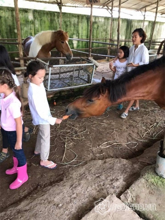 Hồng Nhung, con của Hồng Nhung, diva Hồng Nhung, mức học phí của con Hồng Nhung,chuyện làng sao,sao Việt