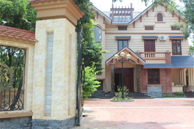 Cây sưa, gỗ sưa, gỗ quý