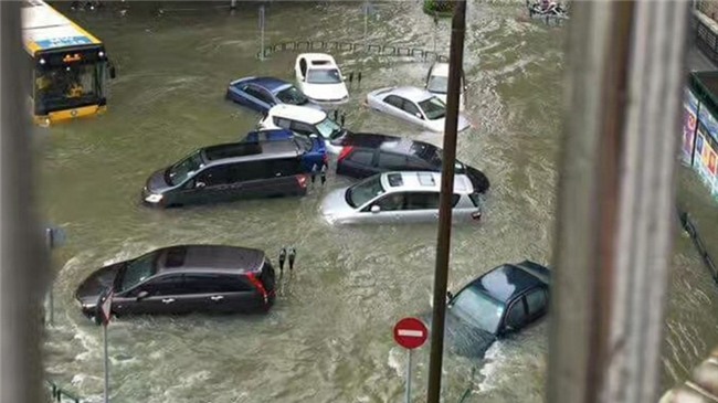 Via he vo nat, oto chim nghim trong sieu bao Hato o Trung Quoc hinh anh 3