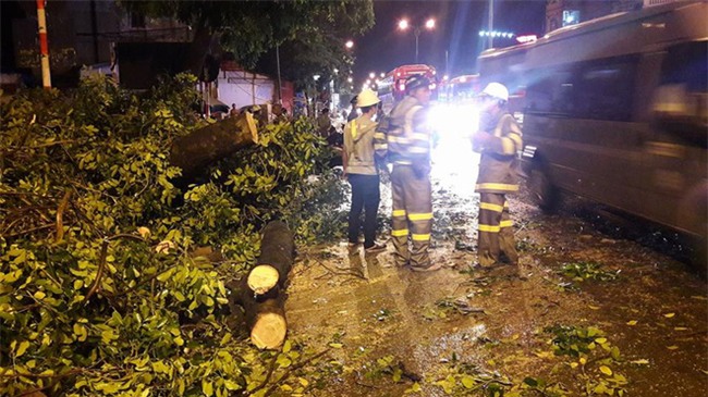 Ảnh hưởng bão số 6, Hà Nội mưa to gió lớn làm đổ cây cổ thụ chắn ngang đườn - Ảnh 2.