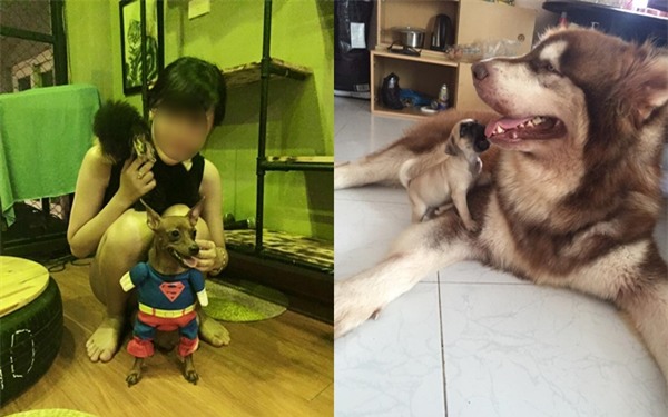 Con gái độc thân, 25 tuổi, ở giữa Hà thành phồn hoa, tiêu hết 12 triệu/ tháng là nhiều hay ít? - Ảnh 2.