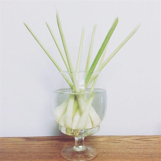 dan mang khoe anh trong sa, bay cach duoi muoi nha lam hieu qua "tram phan tram" - 1