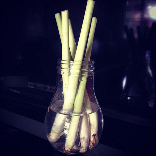 dan mang khoe anh trong sa, bay cach duoi muoi nha lam hieu qua "tram phan tram" - 2