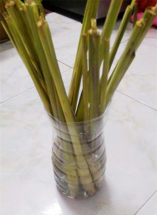 dan mang khoe anh trong sa, bay cach duoi muoi nha lam hieu qua "tram phan tram" - 4