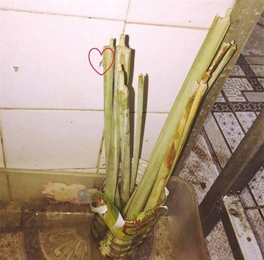 dan mang khoe anh trong sa, bay cach duoi muoi nha lam hieu qua "tram phan tram" - 6